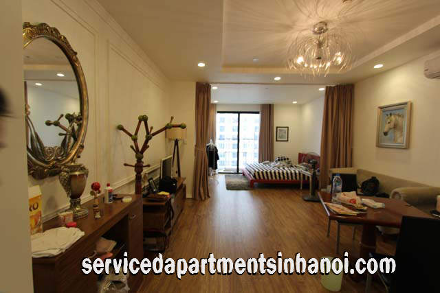 Cho thuê căn hộ dịch vụ hoàn toàn mới 1 phòng ngủ tại phố Huế, Hai Bà Trưng