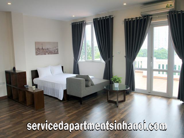 Căn hộ dịch vụ 1 phòng ngủ rất rộng và nội thất đẹp cho thuê tại trung tâm quận Hai Bà Trưng