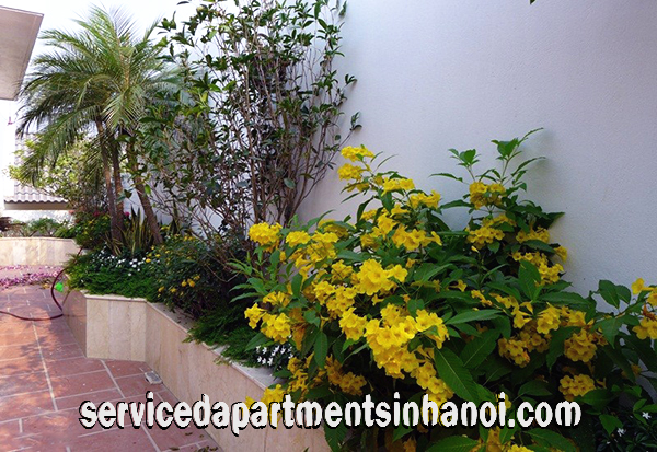 Nhà riêng chính chủ cho thuê giá hợp lý, gồm 4 phòng ngủ rộng rãi ở Đặng Thai Mai, Tây Hồ 3