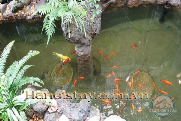 Chuyển nhượng biệt thự siêu đẹp tại Thụy Khuê, quận Tây Hồ, diện tích sàn 340m2 8