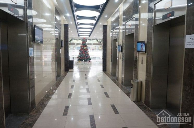 Cần cho thuê gấp tòa nhà làm văn phòng đường Trần Thái Tông LH 0916439372 3