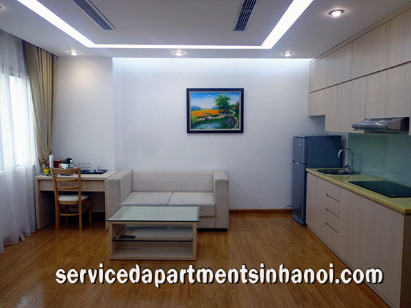 Cho thuê căn hộ dịch vụ mới,đẹp 1 phòng ngủ tại đường Hai Bà Trưng, gần VinCom 2