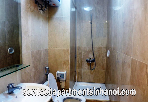 Căn hộ cao cấp dạng Penthouse cho thuê tại P2 Ciputra, Tây Hồ 8