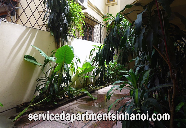 Villa đẹp với khu vườn tuyệt đẹp cho thuê tại phố Tô Ngọc Vân, Tây Hồ 1