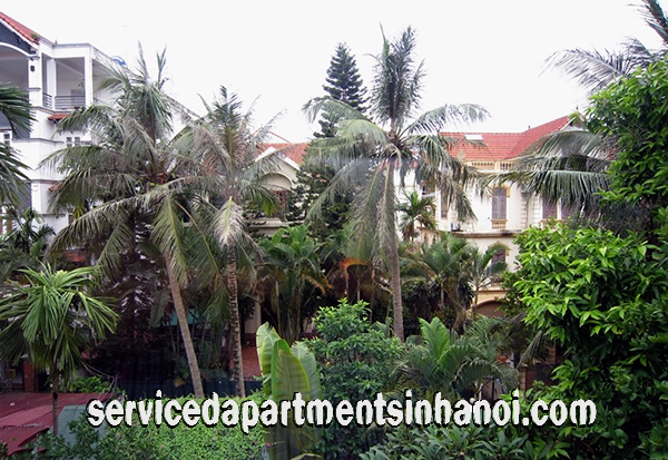 Biệt thự Bốn ngủ với Hồ bơi bơi cho thuê tại phố Tô Ngọc Vân, Tây Hồ 6