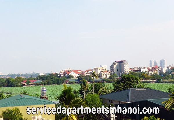 Biệt thự cho thuê tại Xóm Chùa Village, khu vực Tây Hồ, có hồ bơi đẹp 6