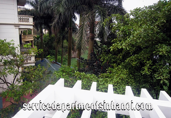 Cho thuê Villa bốn phòng ngủ rộng rãi ở Khu vực Tây Hồ với Hồ Bơi lớn 10