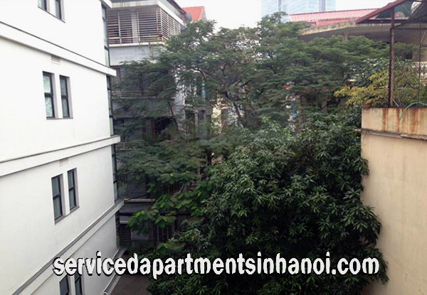 Cho thuê căn hộ không gian mở Phố Đào Tấn, Ba Đình, Sáng và Sang trọng 1