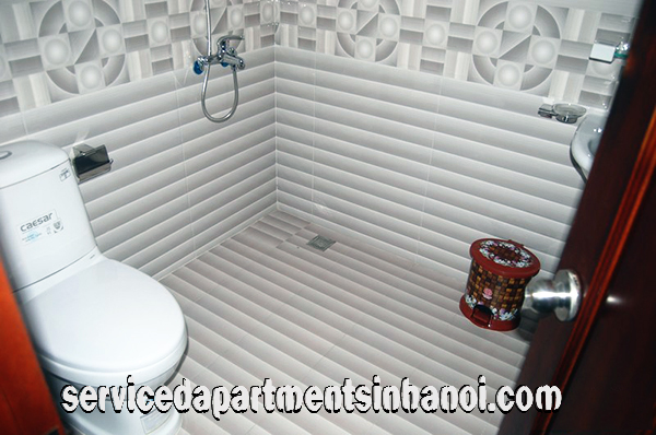 Cho thuê căn hộ 2 phòng ngủ mới gần nhà Hát Lớn Hà Nội 3