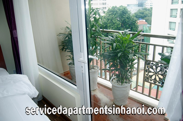 Cho thuê căn hộ 2 phòng ngủ mới gần nhà Hát Lớn Hà Nội 3