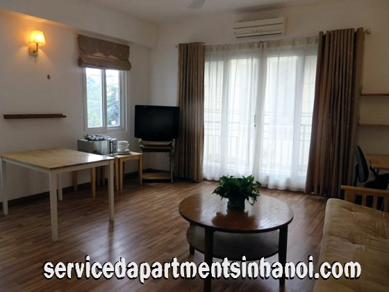 Cho thuê căn hộ 1 phòng ngủ gần Bảo tàng Hồ Chí Minh 1