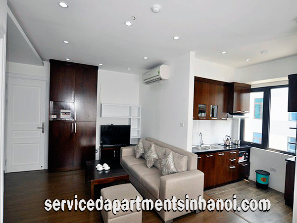 Căn hộ 1 phòng ngủ đẹp quận Cầu Giấy cho thuê 2