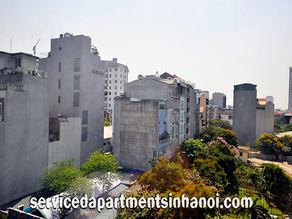 Căn hộ 1 phòng ngủ đẹp quận Cầu Giấy cho thuê 1