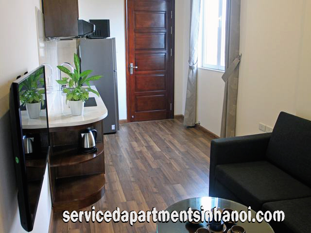 Cho thuê căn hộ 1 phòng ngủ gần nhà hát Lớn 800$ 2