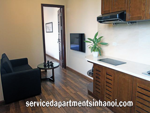 Cho thuê căn hộ 1 phòng ngủ gần nhà hát Lớn 800$ 3