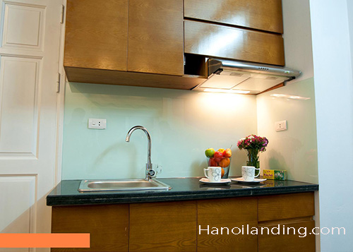 Cho thuê căn hộ 1 phòng ngủ giá rẻ, gần Công viên Thống Nhất 4