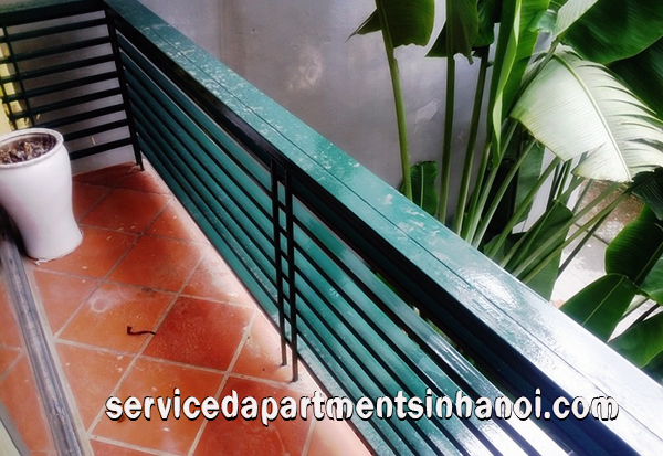 Biệt thự đẹp với bể bơi và sân vườn cho thuê tại Tô Ngọc Vân, Tây Hồ 4