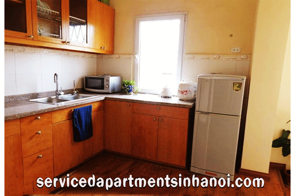 Căn hộ đẹp, 1 phòng ngủ cho thuê tại Phố Huế, Hai Bà Trưng 2
