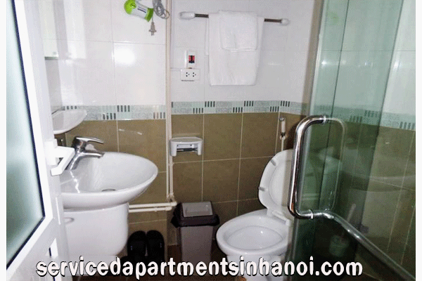 Căn hộ đẹp, 1 phòng ngủ cho thuê tại Phố Huế, Hai Bà Trưng 6