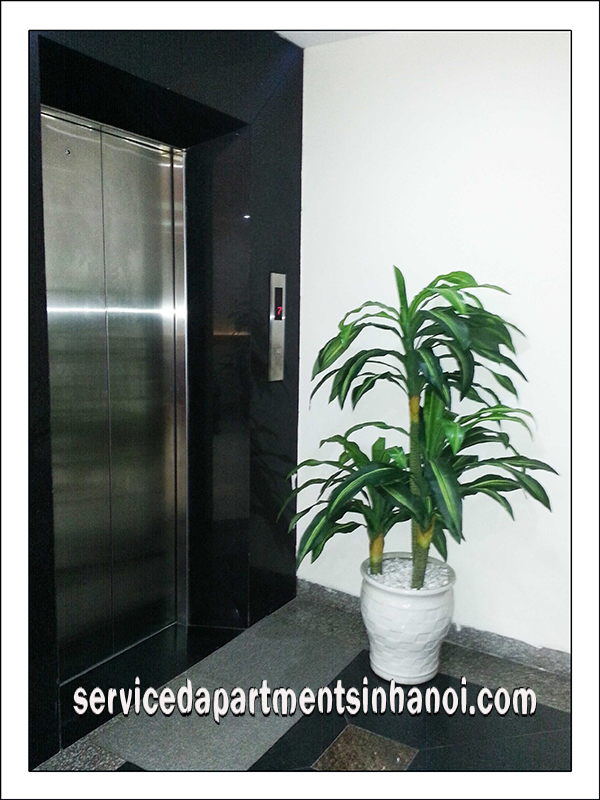Căn hộ một phòng ngủ và Studio cho thuê ở Nguyễn Ngọc Vũ, Cầu Giấy 8