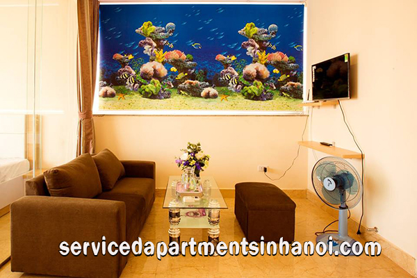 Căn hộ dịch vụ mới với phong cách hiện đại cho thuê tại Trung Yên, Cầu Giấy 1