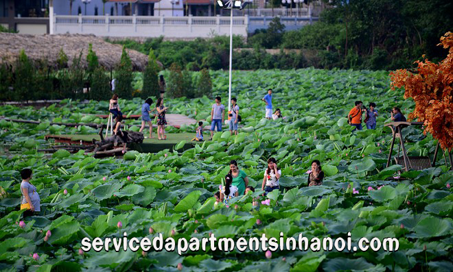 Căn hộ ba phòng ngủ cho thuê ở Tây Hồ, giá hợp lý 2