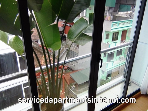 Căn hộ cao cấp 01 phòng ngủ cho thuê tại Mai Hắc Đế st , Hai Bà Trưng 9