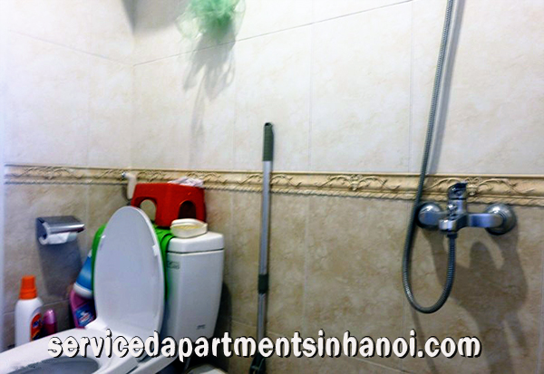 Căn hộ cao cấp phong cách và đầy đủ tiện nghi cho thuê tại P2, Ciputra 4