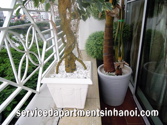 Căn hộ dịch vụ mới được tân trang tại Trấn Vũ, Trúc Bạch cho người nước ngoài thuê 2