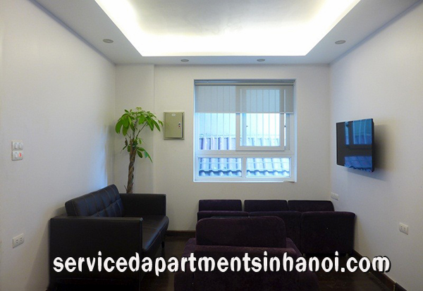 Căn hộ với thiết kế hiện đại cho thuê tại Đặng Thai Mai, Tây Hồ 3