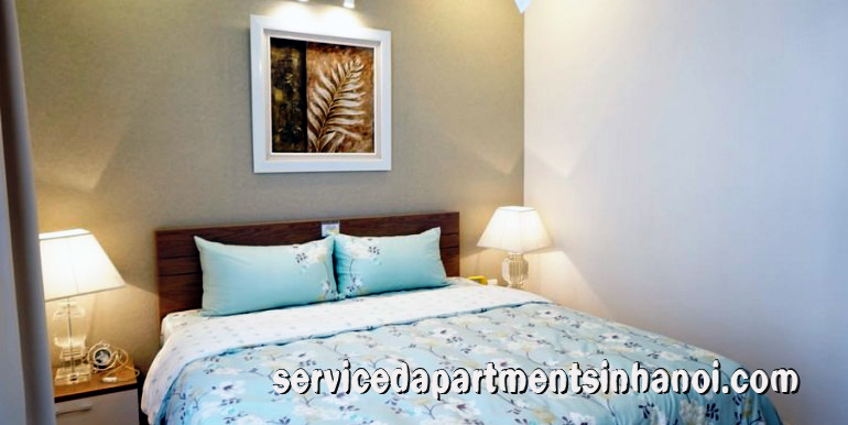 Cho thuê căn hộ một phòng ngủ tại Times City, Hai Bà Trưng 8
