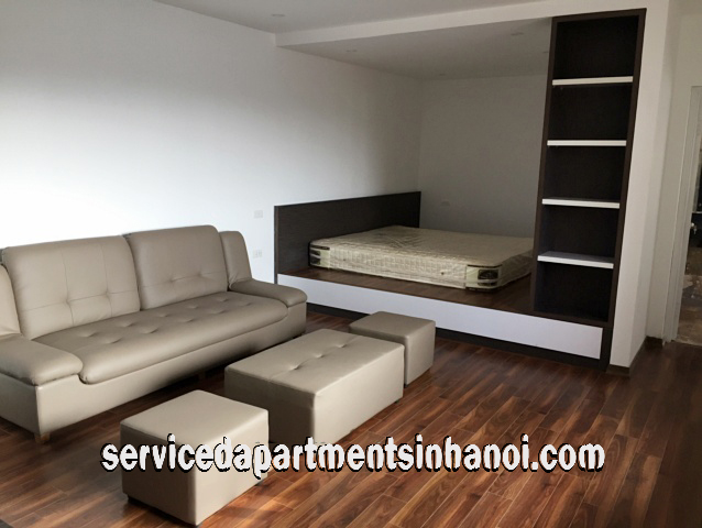 Căn hộ 1 phòng ngủ mới tân trang cho thuê tại Hai Bà Trưng, Hà Nội 2