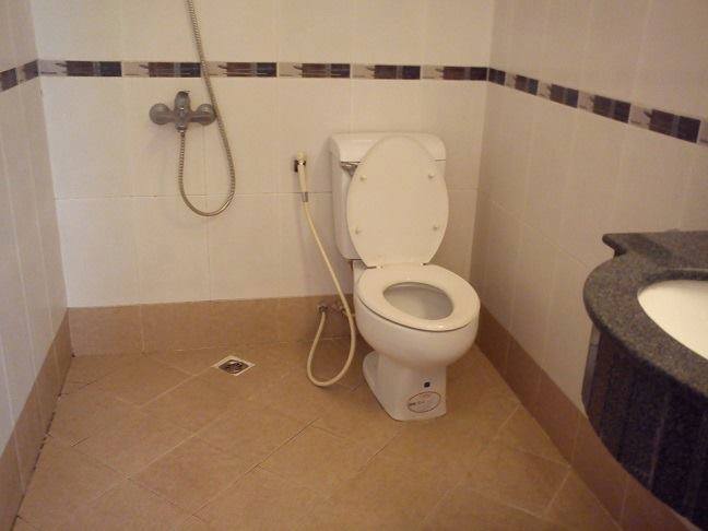 Cho thuê căn hộ 1 phòng ngủ rộng 70m2, sáng gần bệnh viện YecXanh 7