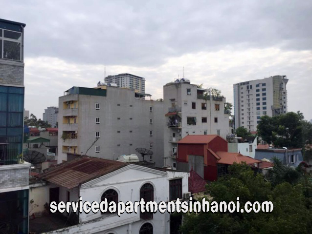 Cho thuê căn hộ 2 phòng ngủ gần Nhà Hát Lớn Hà Nội 8