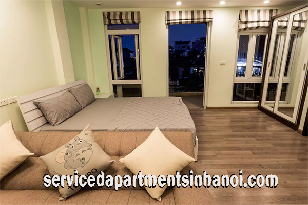 Cho thuê căn hộ 1 phòng ngủ trong phố Cổ quận Hoàn Kiếm 8