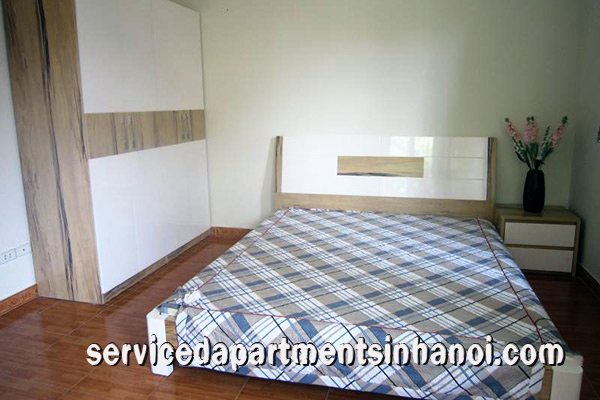 Cho thuê căn hộ dịch vụ 1 phòng ngủ tại khu vực Hai Bà Trưng 5