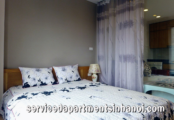 Cho thuê căn hộ dịch vụ đẹp đường Đặng Thai Mai, 01 phòng ngủ gần Hồ Tây 4