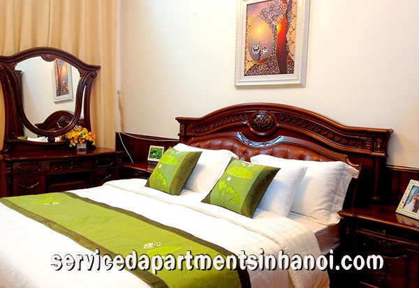 Cho thuê căn hộ nội thất hiện đại và đẹp ở Tạ Quang Bửu 1