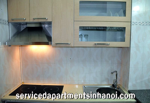 Cho thuê căn hộ nội thất hiện đại và đẹp ở Tạ Quang Bửu 4