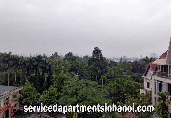 Cho thuê căn hộ cao cấp 4 phòng ngủ phố Đặng Thai Mai, Tây Hồ 6