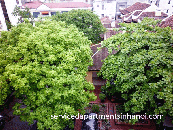 Căn hộ dịch vụ chuyên cho người nước ngoài thuê tại Trần Phú 8