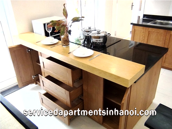 Cho thuê căn hộ kiểu Nhật Bản, gần hồ Ngọc Khánh 9