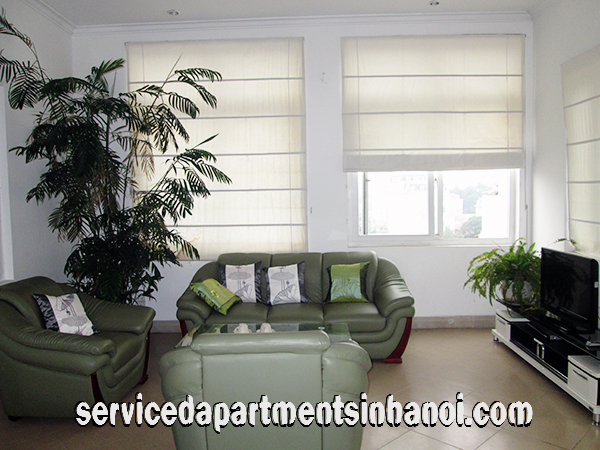 Cho thuê căn hộ cao cấp phố Trần Hưng Đạo, giá 900$/tháng 1