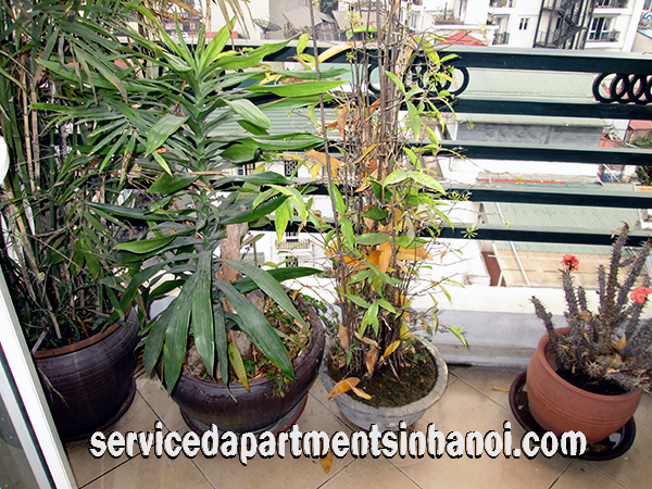 Cho thuê căn hộ cao cấp phố Trần Hưng Đạo, giá 900$/tháng 3