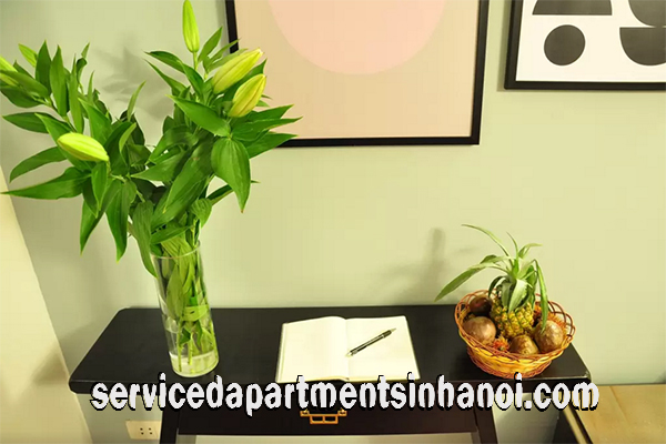 Cho thuê căn hộ hiện đại tại phố Bà Triệu, Hoàn Kiếm, giá 900USD/tháng 4