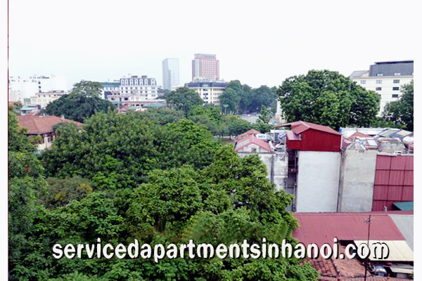 Cho thuê căn hộ giá rẻ tại phố Phan Chu Trinh, Hoàn Kiếm 7