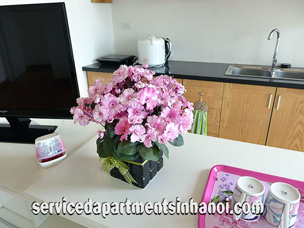 Cho thuê căn hộ hiện đại tại Láng Hạ,Đống Đa 5