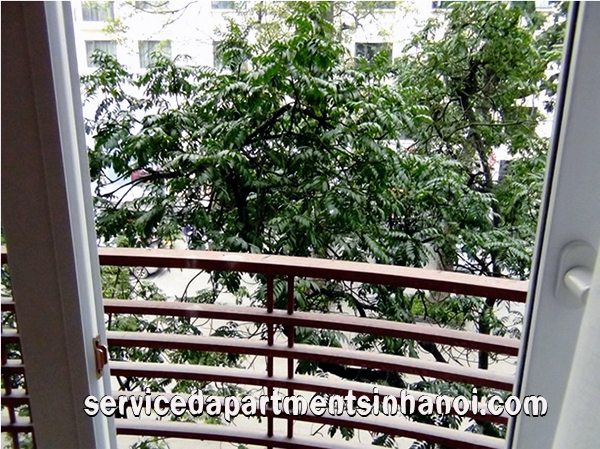 Căn hộ dịch vụ 1 phòng ngủ ở phố Lê Thánh Tông cho thuê 10