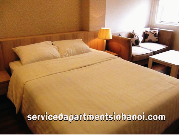 Căn hộ dịch vụ 1 phòng ngủ ở phố Lê Thánh Tông cho thuê 8