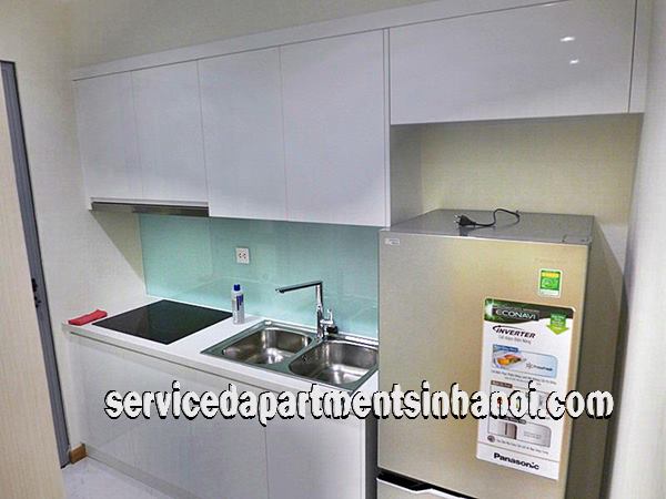 Cho thuê căn hộ hiện đại 1 phòng ngủ tại Vinhomes 56 Nguyễn Chí Thanh, Hà Nội 5